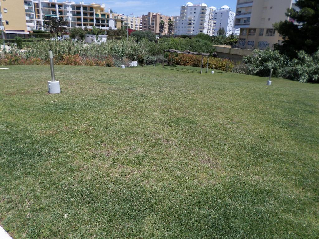 Rocha Tower by Beach Rentals Exterior foto
